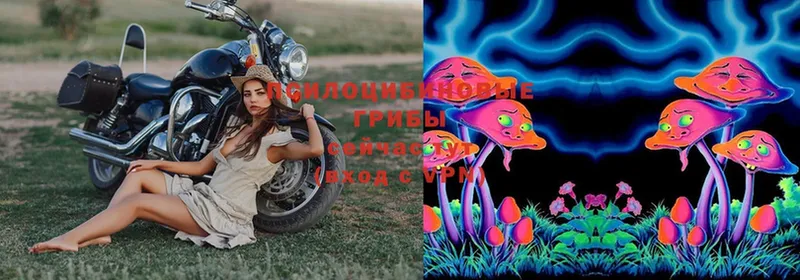 Галлюциногенные грибы MAGIC MUSHROOMS  Барнаул 